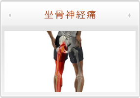 Sciatic Window sciatica-window | 横浜・関内・馬車道 ストレートネック専門 骨格矯正サロン とうせんきょう